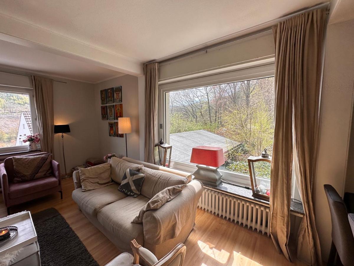 Charming Villa On The Forest In Wald 12 Guests Hugh Garden Willingen Sauerland 브릴온 외부 사진