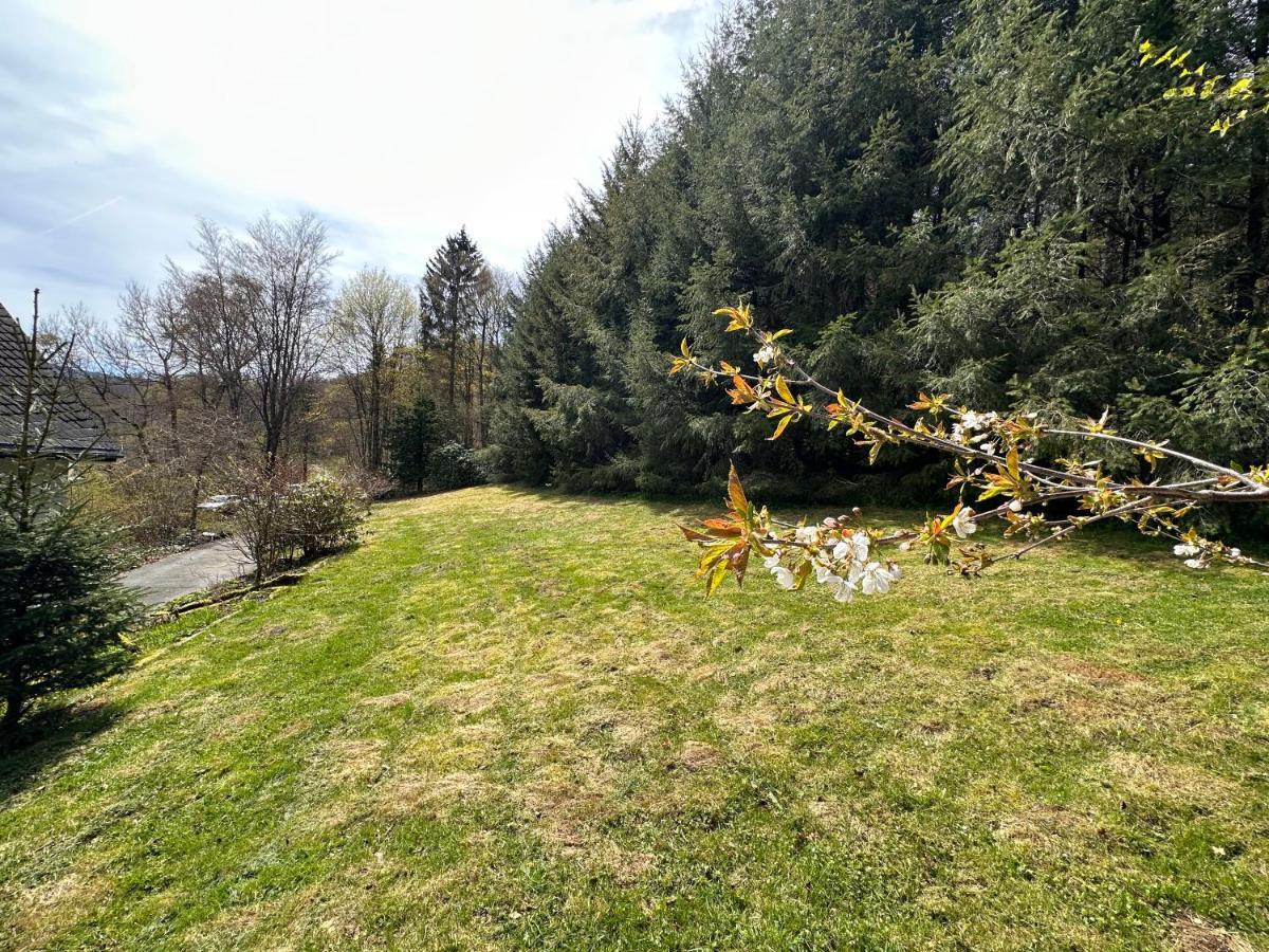 Charming Villa On The Forest In Wald 12 Guests Hugh Garden Willingen Sauerland 브릴온 외부 사진