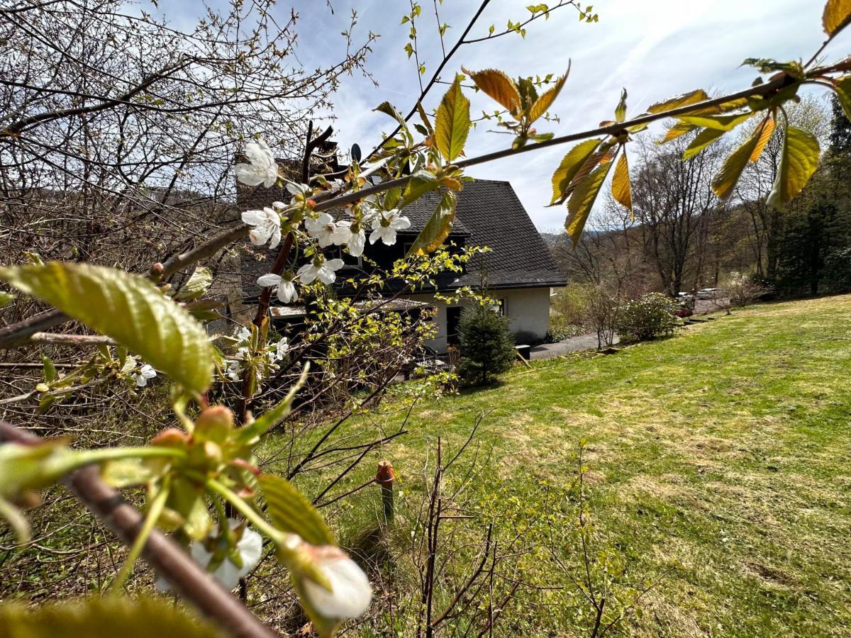 Charming Villa On The Forest In Wald 12 Guests Hugh Garden Willingen Sauerland 브릴온 외부 사진